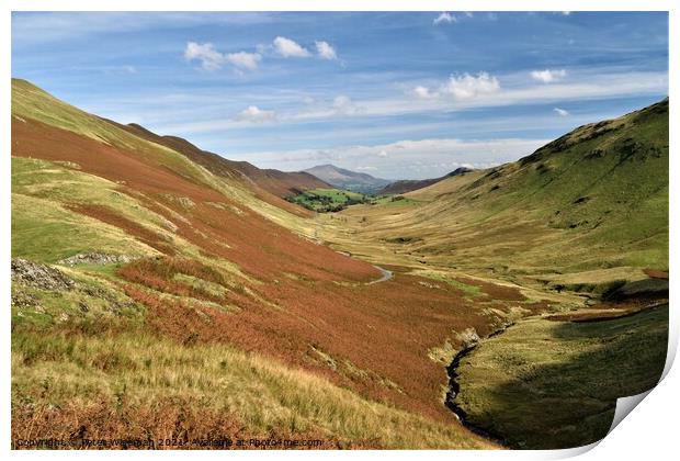 View down Newlands  Valley with Skiddaw in the background Print by Peter Wiseman