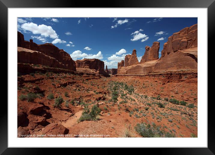 Arches National Park, Utah, USA Framed Mounted Print by Geraint Tellem ARPS