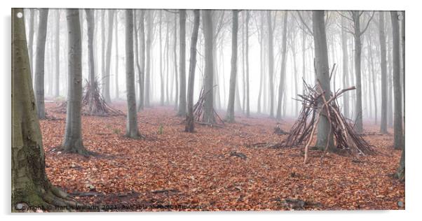 Dens in the wood Acrylic by Martin Williams