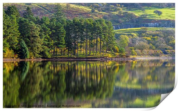 Reflections Pontsticill Reservoir Brecon Beacons Print by Nick Jenkins