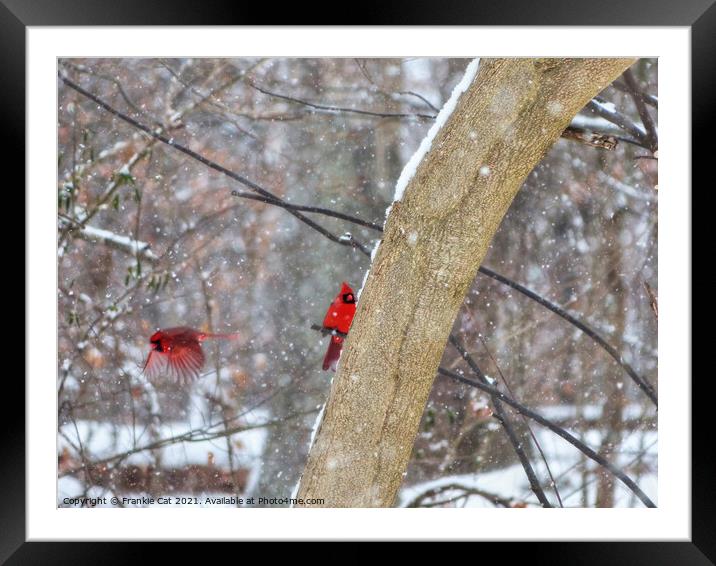 Cardinals in the Snow Framed Mounted Print by Frankie Cat