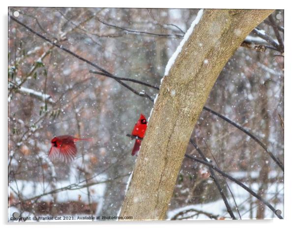 Cardinals in the Snow Acrylic by Frankie Cat