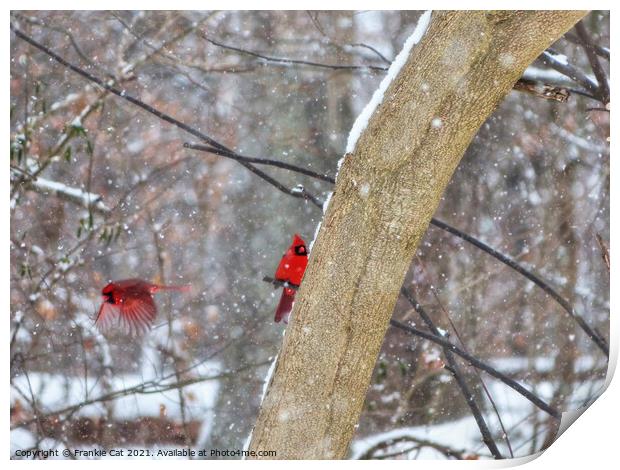 Cardinals in the Snow Print by Frankie Cat