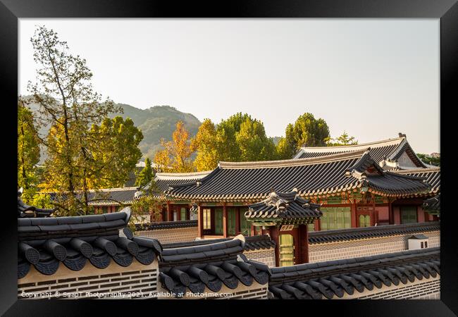 Korean rooftops and architecture in the afternoon autumn sun, Seoul, South Korea Framed Print by SnapT Photography
