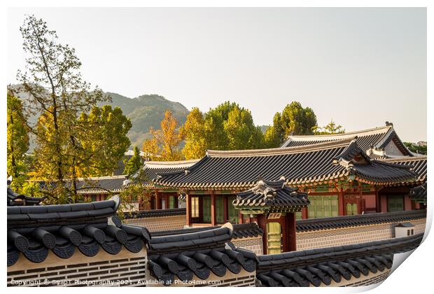 Korean rooftops and architecture in the afternoon autumn sun, Seoul, South Korea Print by SnapT Photography