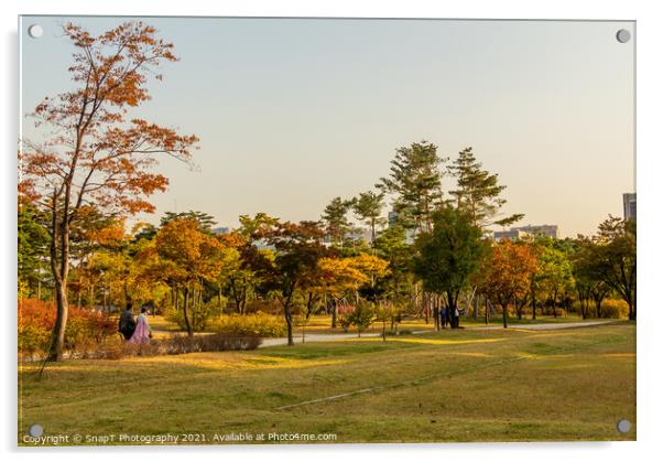 The grounds of Gyeongbokgung Palace in autumn colours in late afternoon Acrylic by SnapT Photography