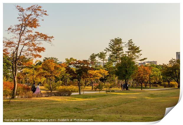 The grounds of Gyeongbokgung Palace in autumn colours in late afternoon Print by SnapT Photography