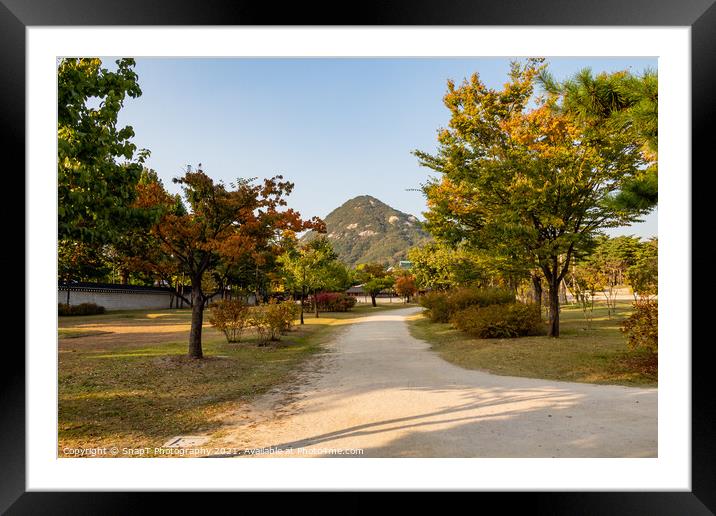 The gardens of Gyeongbokgung Palace, with Bugaksan Mountain in the background Framed Mounted Print by SnapT Photography