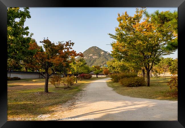 The gardens of Gyeongbokgung Palace, with Bugaksan Mountain in the background Framed Print by SnapT Photography