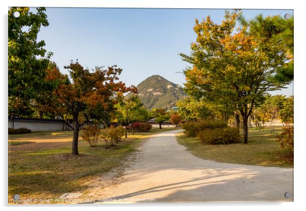 The gardens of Gyeongbokgung Palace, with Bugaksan Mountain in the background Acrylic by SnapT Photography