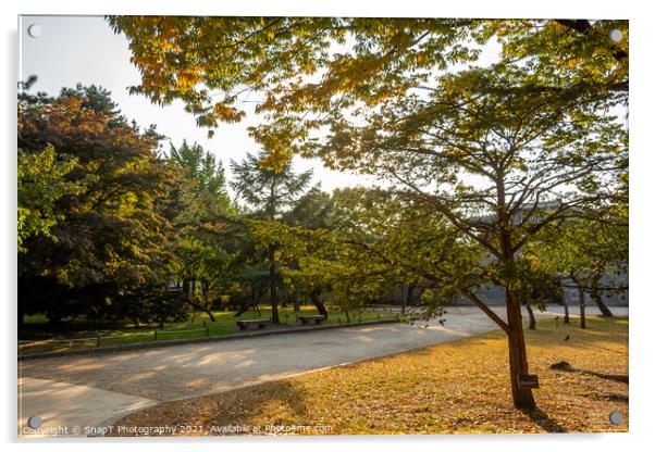 A park in Seoul with trees in autumn colours, at Gyeongbokgung Palace Acrylic by SnapT Photography
