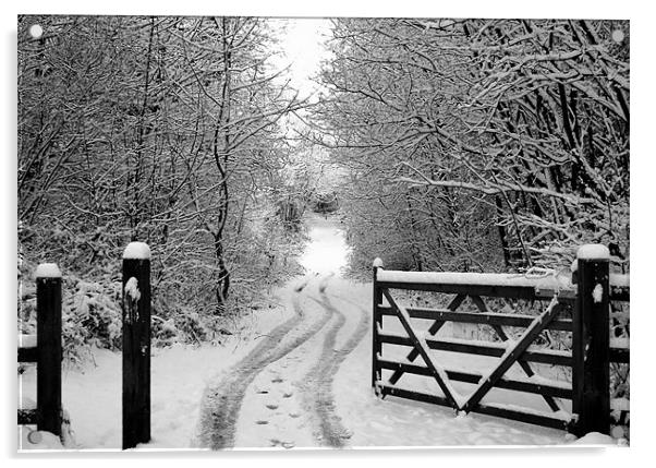 Snow Gate Acrylic by Mark Pritchard