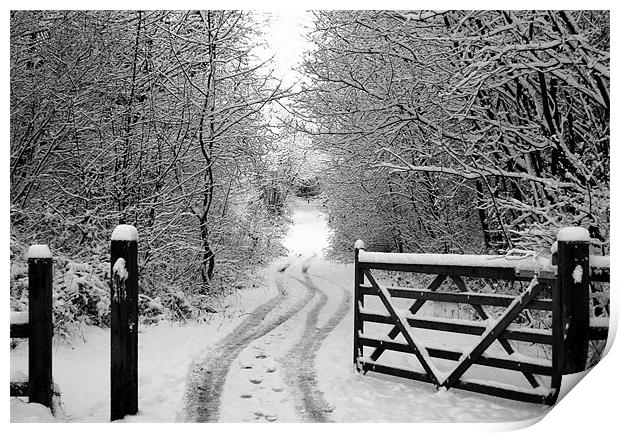 Snow Gate Print by Mark Pritchard