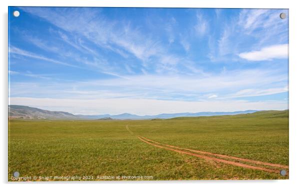 A track across a Mongolian grassland with mountains in the background Acrylic by SnapT Photography