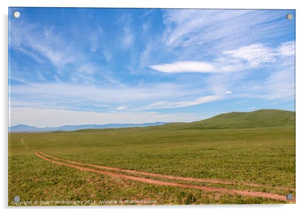A track across a Mongolian grassland with mountains in the background Acrylic by SnapT Photography