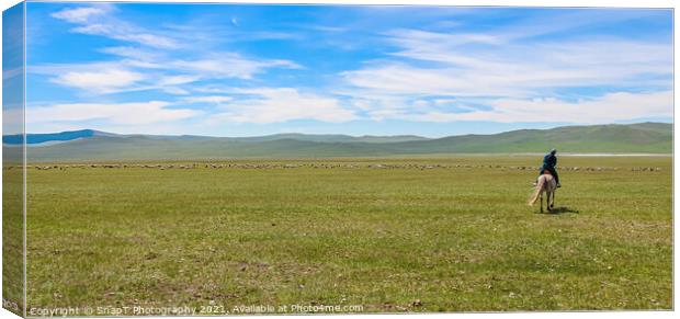 A female mongolian herder, herding cattle on the grassland by horse Canvas Print by SnapT Photography