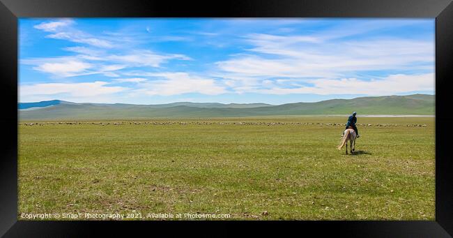 A female mongolian herder, herding cattle on the grassland by horse Framed Print by SnapT Photography