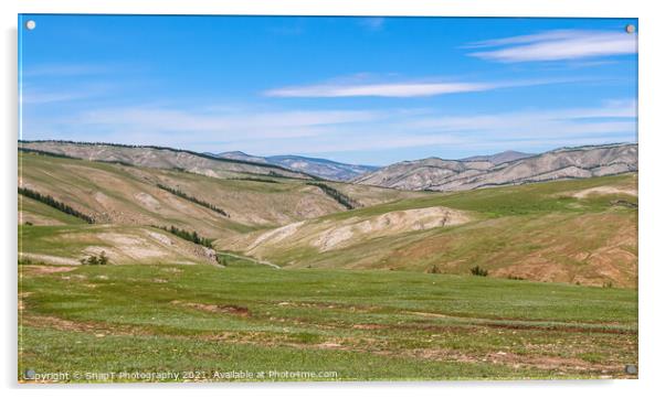 Rolling Mongolian hills and mountains, with a blue cloudy sky Acrylic by SnapT Photography