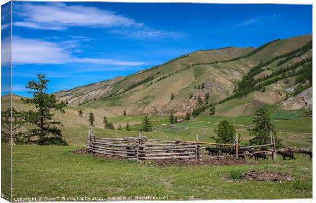 A cattle pen in the Mongolian mountains, surrounded by grassland Canvas Print by SnapT Photography