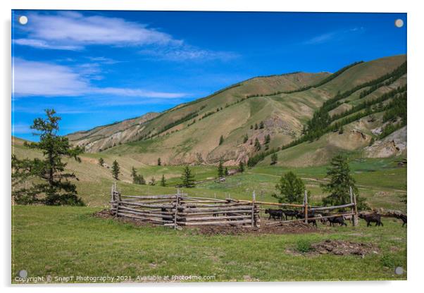 A cattle pen in the Mongolian mountains, surrounded by grassland Acrylic by SnapT Photography