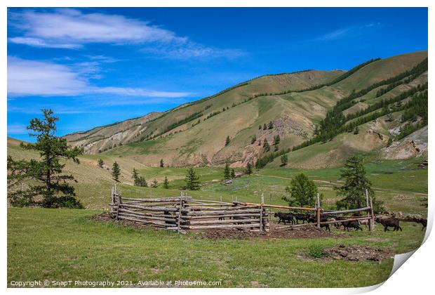 A cattle pen in the Mongolian mountains, surrounded by grassland Print by SnapT Photography