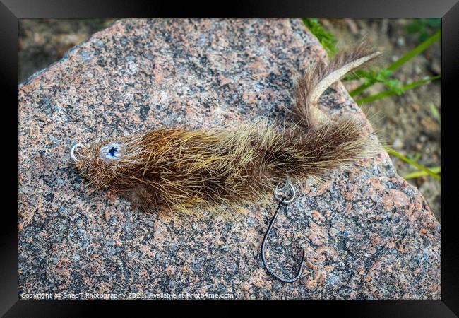 A mouse pattern fly on a rock, used for big trout and taimen fishing Framed Print by SnapT Photography