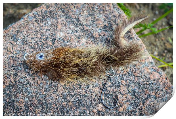A mouse pattern fly on a rock, used for big trout and taimen fishing Print by SnapT Photography