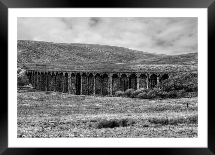 Ribblehead Viaduct Monochrome Framed Mounted Print by Diana Mower