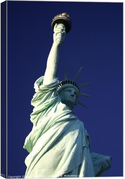 Statue of Liberty in New York City Canvas Print by Nic Croad