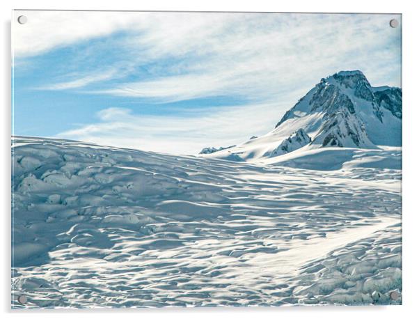 Fox Glacier, New Zealand Acrylic by Mark Llewellyn