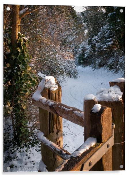 Church gate Cuxton Acrylic by David Hall