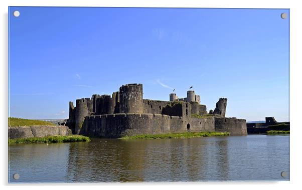 Caerphilly Castle Acrylic by Donna Collett