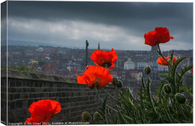 Poppies in Whitby Canvas Print by Nic Croad