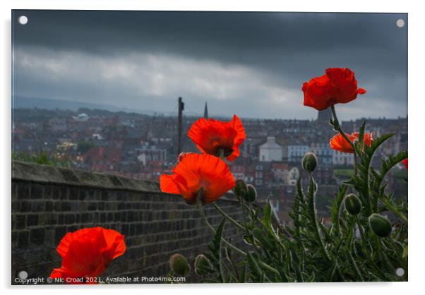 Poppies in Whitby Acrylic by Nic Croad