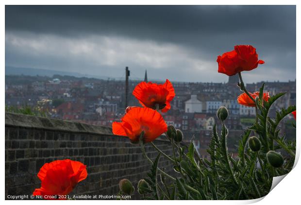 Poppies in Whitby Print by Nic Croad