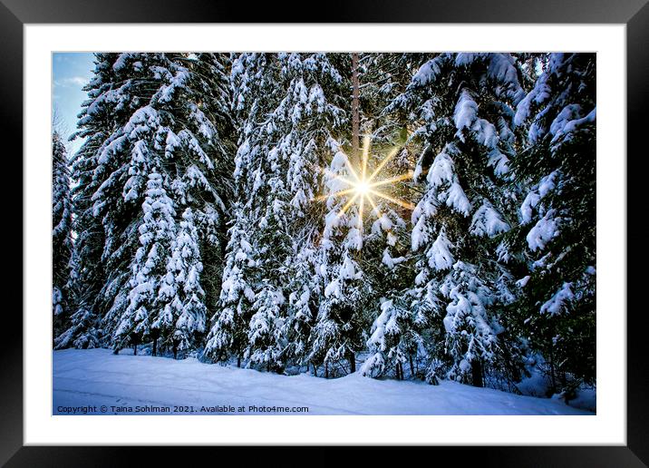 Sun Star Through Winter Forest Framed Mounted Print by Taina Sohlman
