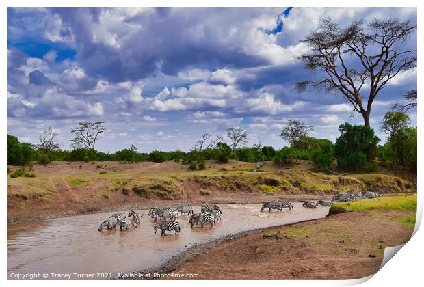 Zebra Crossing - Pausing for a drink in Kenya Print by Tracey Turner