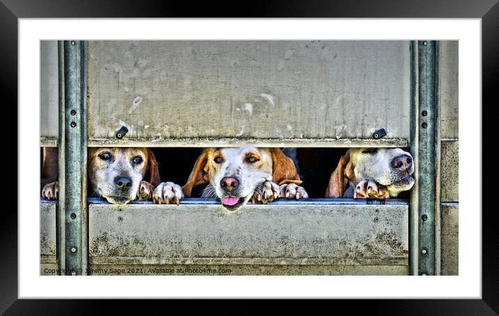 Majestic Foxhounds on the Go Framed Mounted Print by Jeremy Sage
