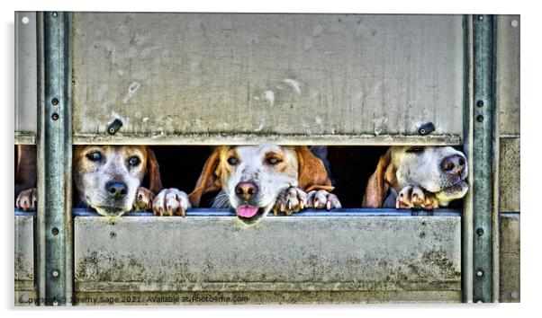 Majestic Foxhounds on the Go Acrylic by Jeremy Sage
