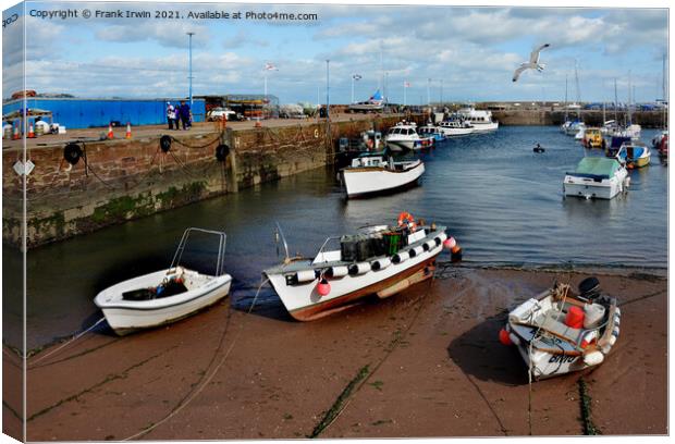 Sheltering within the harbour walls Canvas Print by Frank Irwin