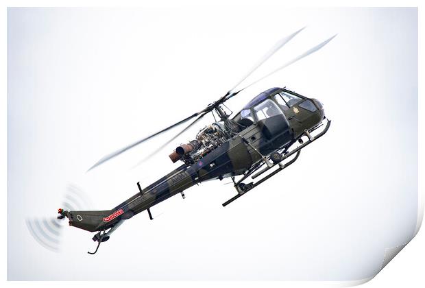 Westland Scout Helicopter Print by J Biggadike