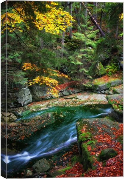 Stream in Autumn Forest Canvas Print by Artur Bogacki