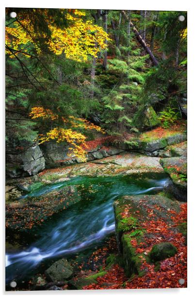 Stream in Autumn Forest Acrylic by Artur Bogacki