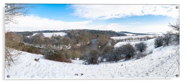Panorama of Teviotvale in winter snow Acrylic by Dave Collins