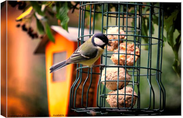 Great Tit - 02 Canvas Print by Trevor Camp