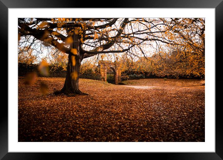 Sandringham at Autumn Framed Mounted Print by Carl Howell