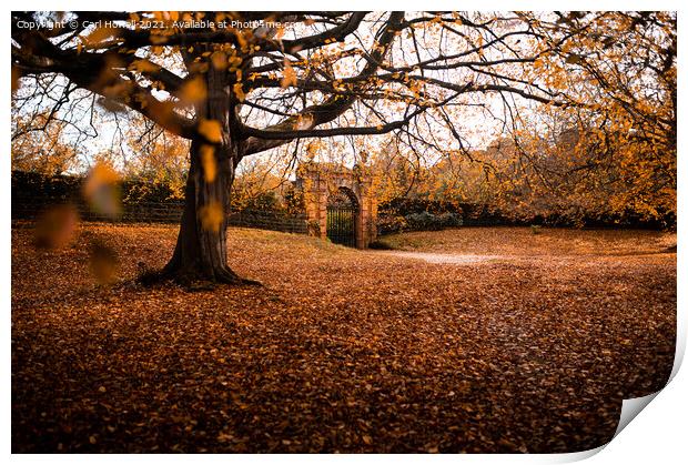 Sandringham at Autumn Print by Carl Howell