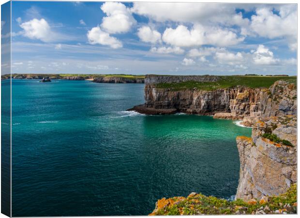 Stackpole Head Canvas Print by Wendy Williams CPAGB