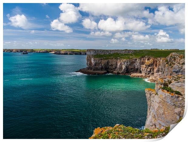 Stackpole Head Print by Wendy Williams CPAGB