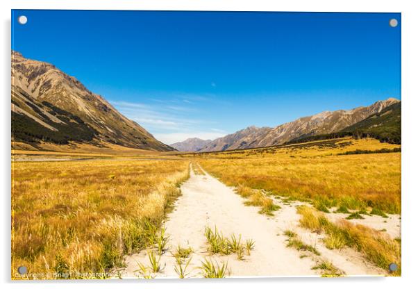 The Ahuriri track, in the conservation park, leading through a grassland valley Acrylic by SnapT Photography